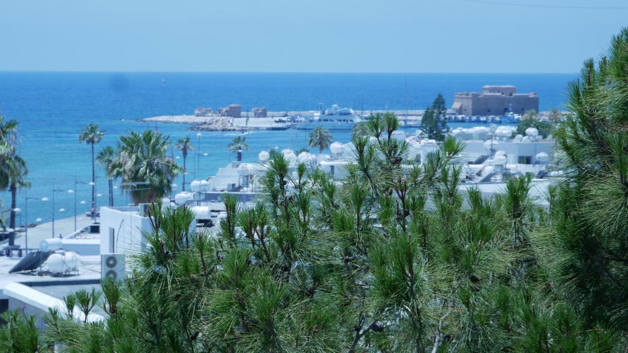 Dionysos Central بافوس المظهر الخارجي الصورة