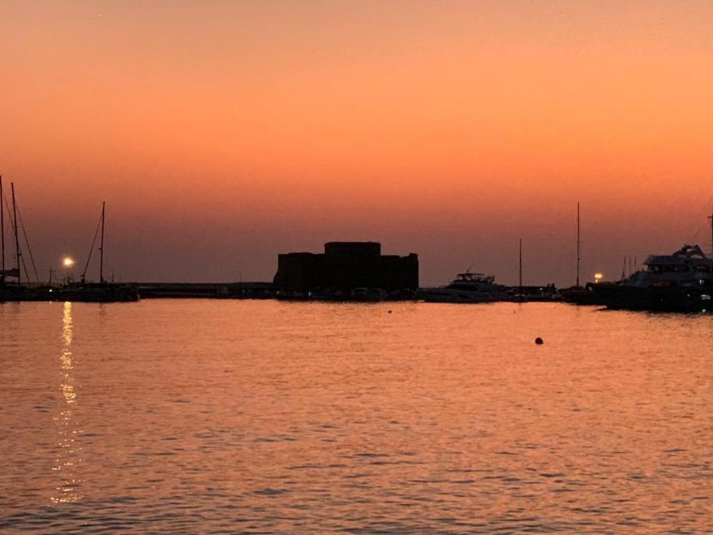 Dionysos Central بافوس المظهر الخارجي الصورة