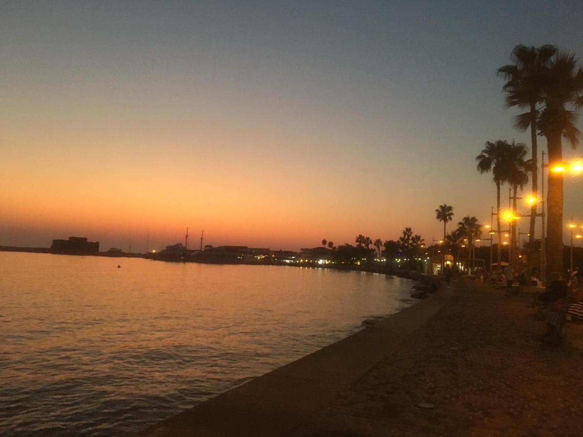 Dionysos Central بافوس المظهر الخارجي الصورة